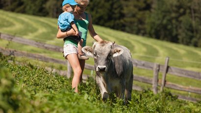 Urlaub auf dem Bauernhof: Hoarachhof