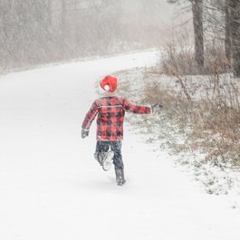 Urlaub auf dem Bauernhof: Hoarachhof