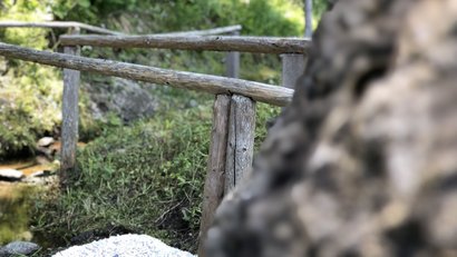 Urlaub auf dem Bauernhof: Hoarachhof