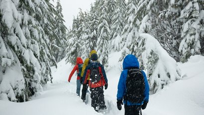 Urlaub auf dem Bauernhof: Hoarachhof
