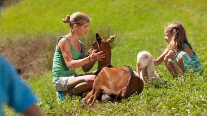 Urlaub auf dem Bauernhof: Hoarachhof