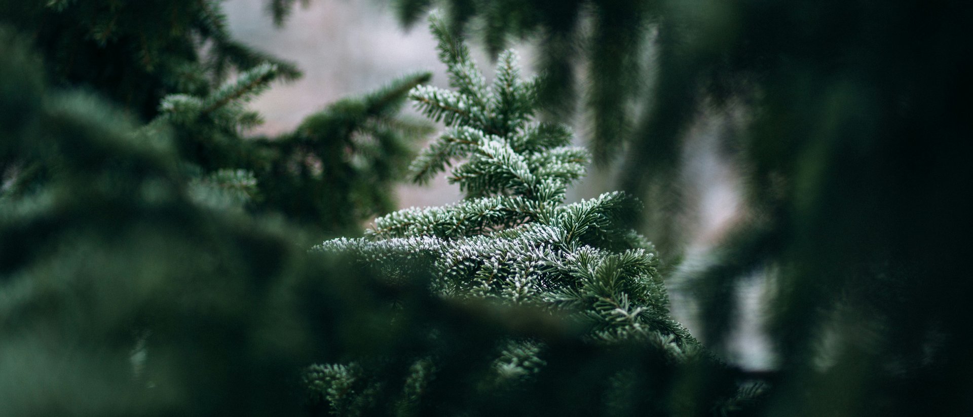 Urlaub auf dem Bauernhof: Hoarachhof