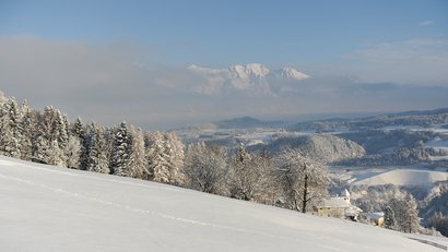 Urlaub auf dem Bauernhof: Hoarachhof