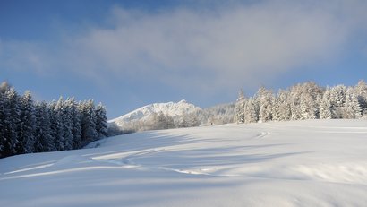 Urlaub auf dem Bauernhof: Hoarachhof